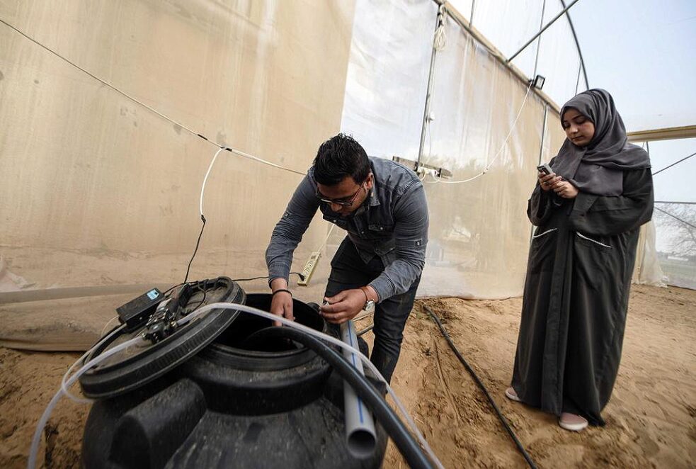 Hydroponik in Gaza; Foto: Afaq