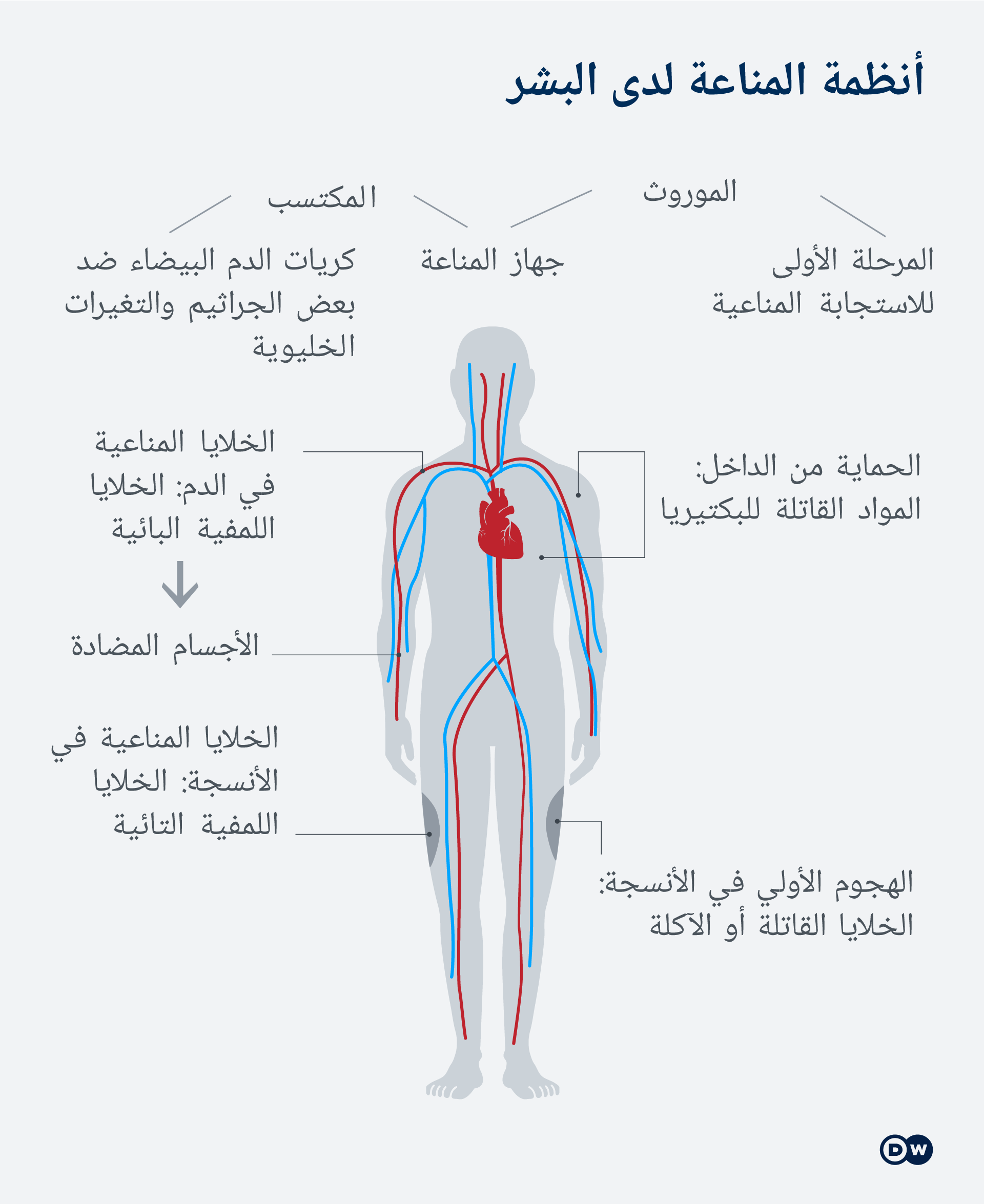 أنظمة المناعة في جسم الإنسان