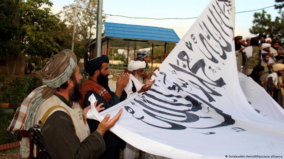 الصورة شلومو سايفلي