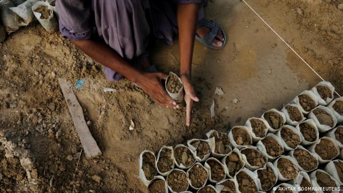 In der Sindh Forestry Public Nursery in Karachi bereitet ein Arbeiter Pflanzsäcke für Setzlinge vor; Foto: Reuters