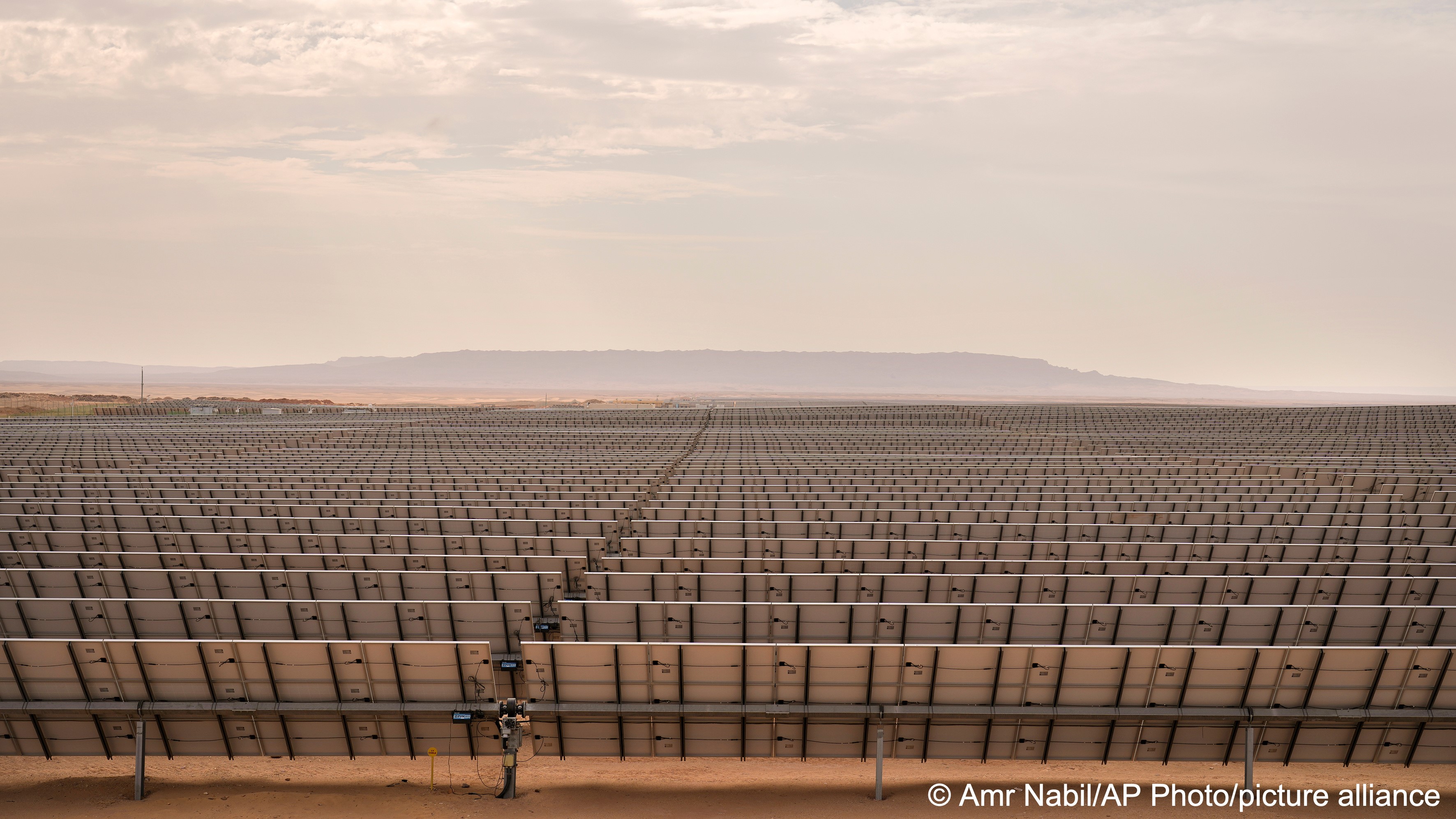 From a distance, the endless landscape of solar panels stretching toward the horizon can easily be mistaken for crops nearing harvest. But here in the desert in southern Egypt, workers have been cultivating another precious commodity: electricity.