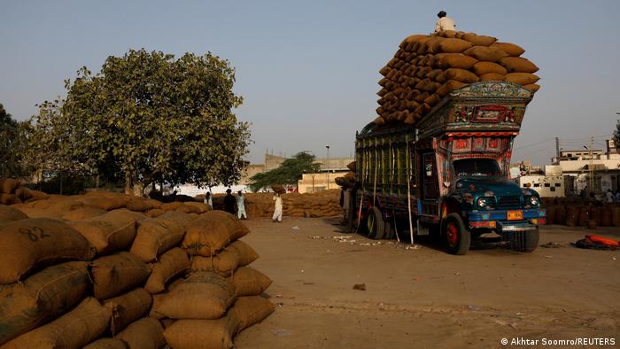 Sacks of chillies are piled high on the ground and on the back of a colourfully painted truck, Kunri, Pakistan (photo: Akhtar Soomro/Reuters)