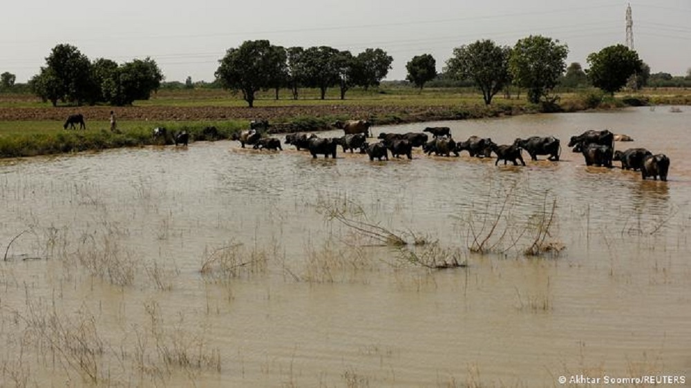 Erst die Hitze, dann die Flut (Foto: Akhtar Soomro/Reuters)