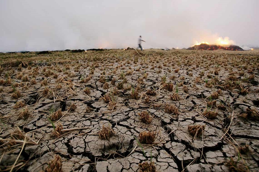 Abbrennen von Ernteresten im Norden Kairos; Foto: AFP/ Getty Images | Khaled Desouki 