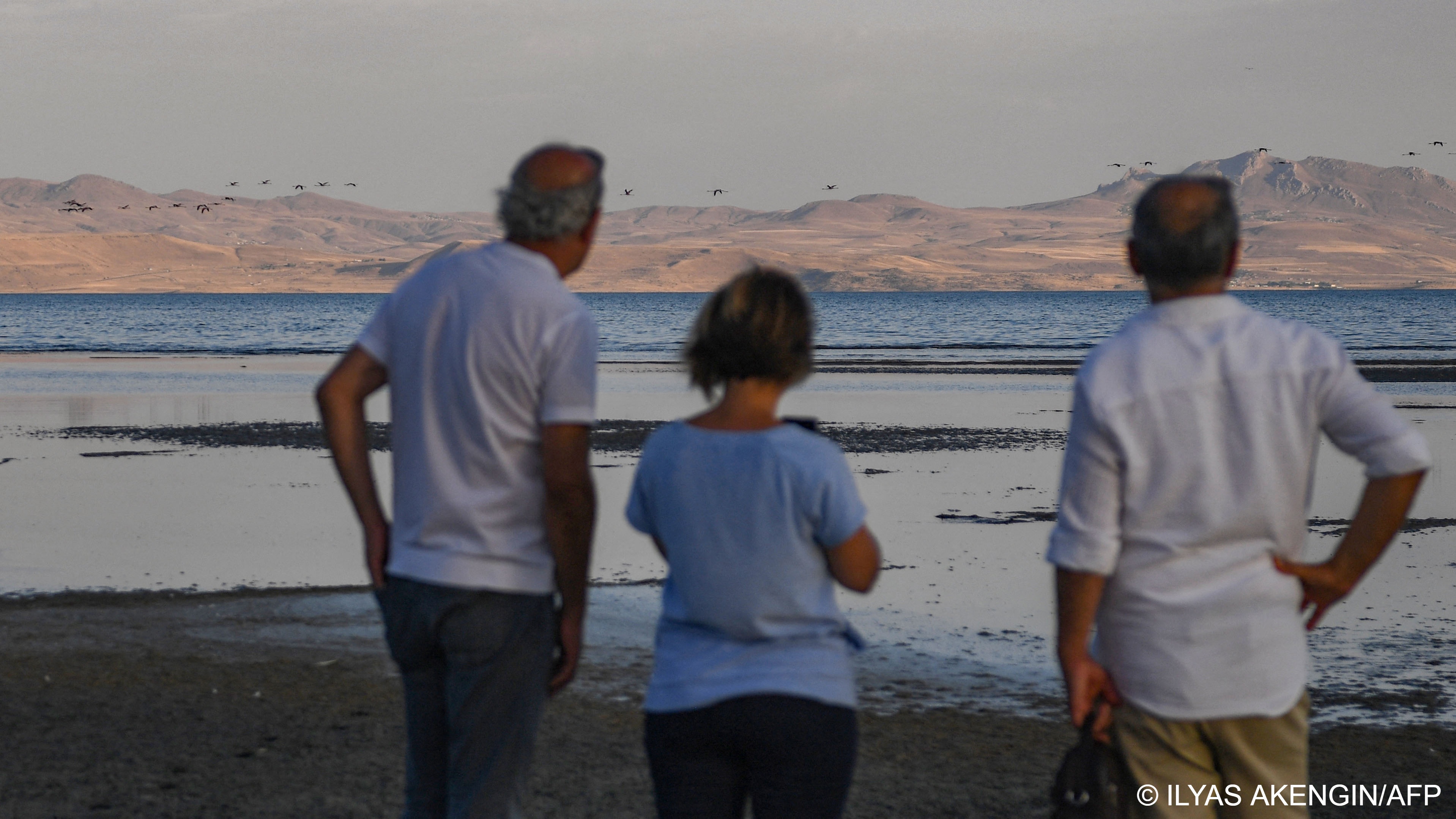 Local ecologist Ali Kalcik (left) watches gulls from a dry bank of Lake Van (image: ILYAS AKENGIN/AFP)