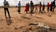 A "perfect storm" of drought, rising global inflation and armed hostilities is threatening the lives of Somalis and others, driving them from their homes.